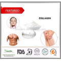 Ingredientes cosméticos 100% Pure Fish Collagen Powder